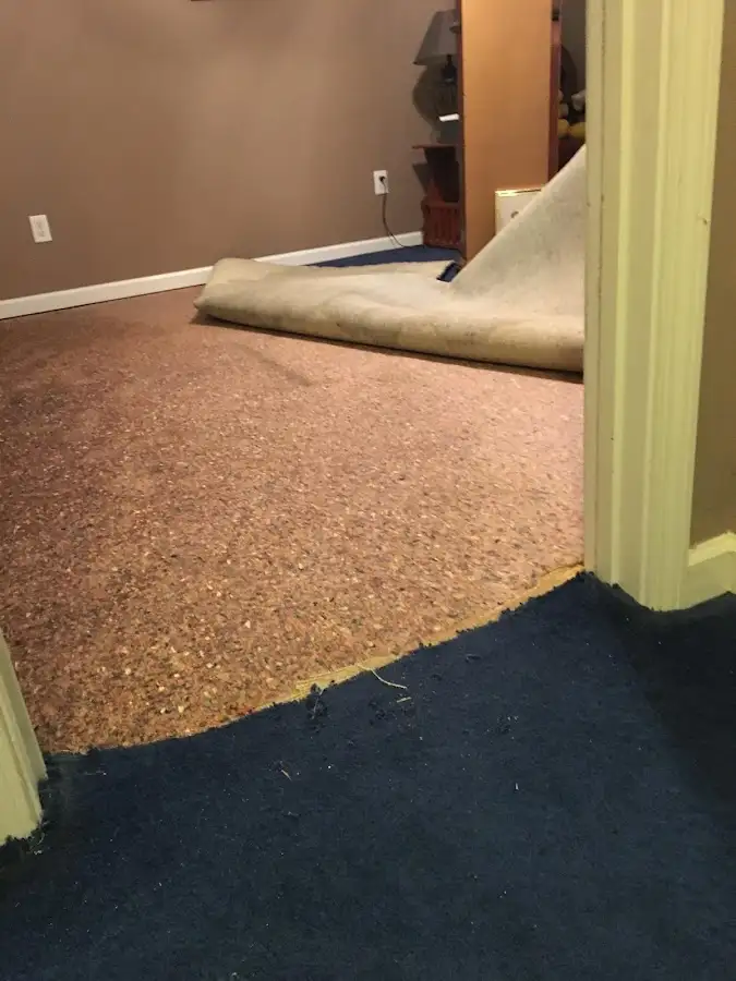 Carpet pad removal revealing water damage during Drying & Dehumidification in Frederick