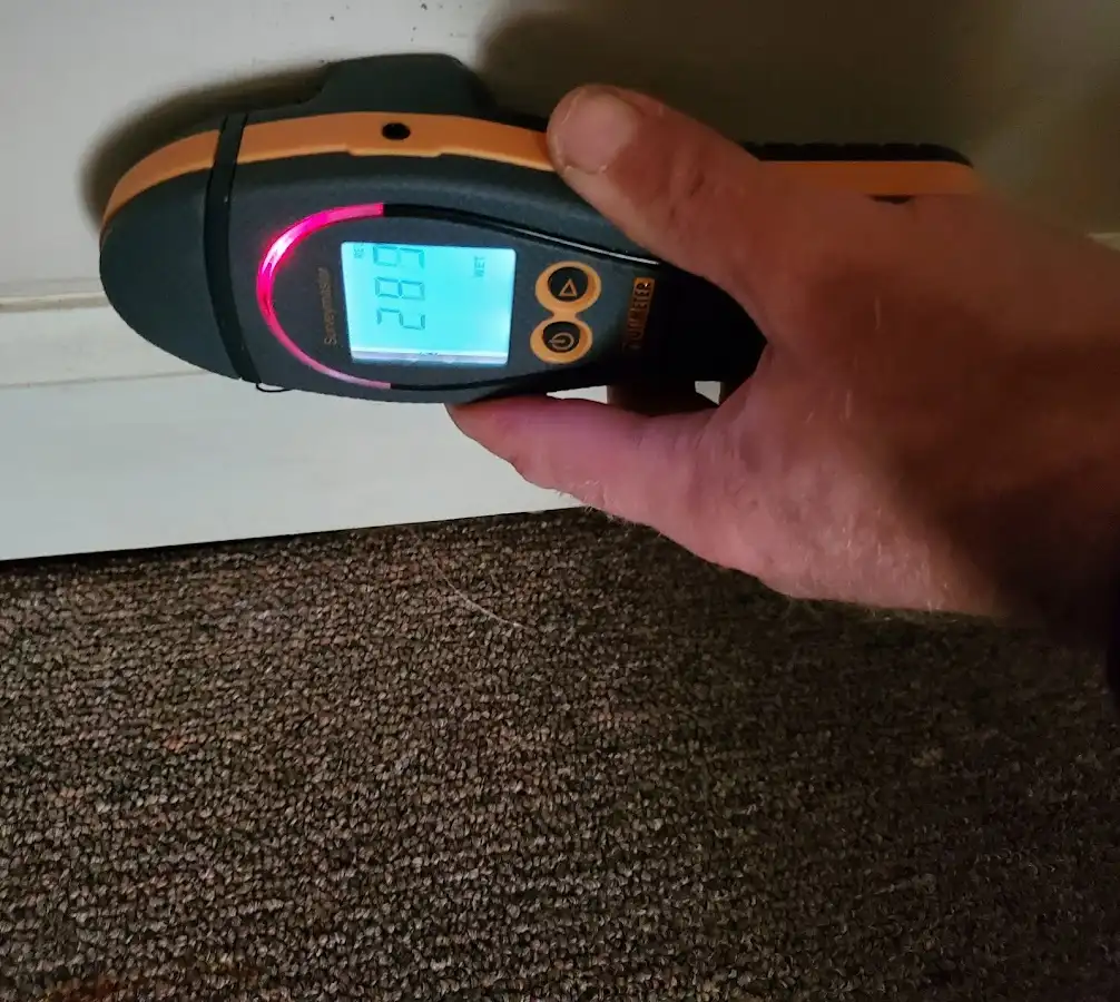 Moisture detection at baseboard during Sewage Cleanup & Sanitation in Frederick